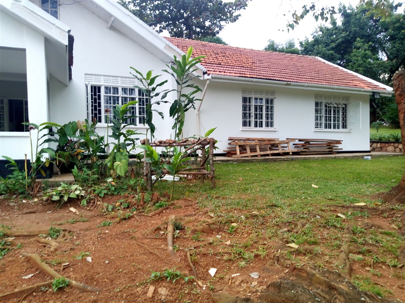 Bungalow for rent in Kololo Kampala