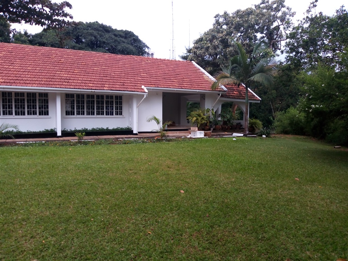 Bungalow for rent in Kololo Kampala