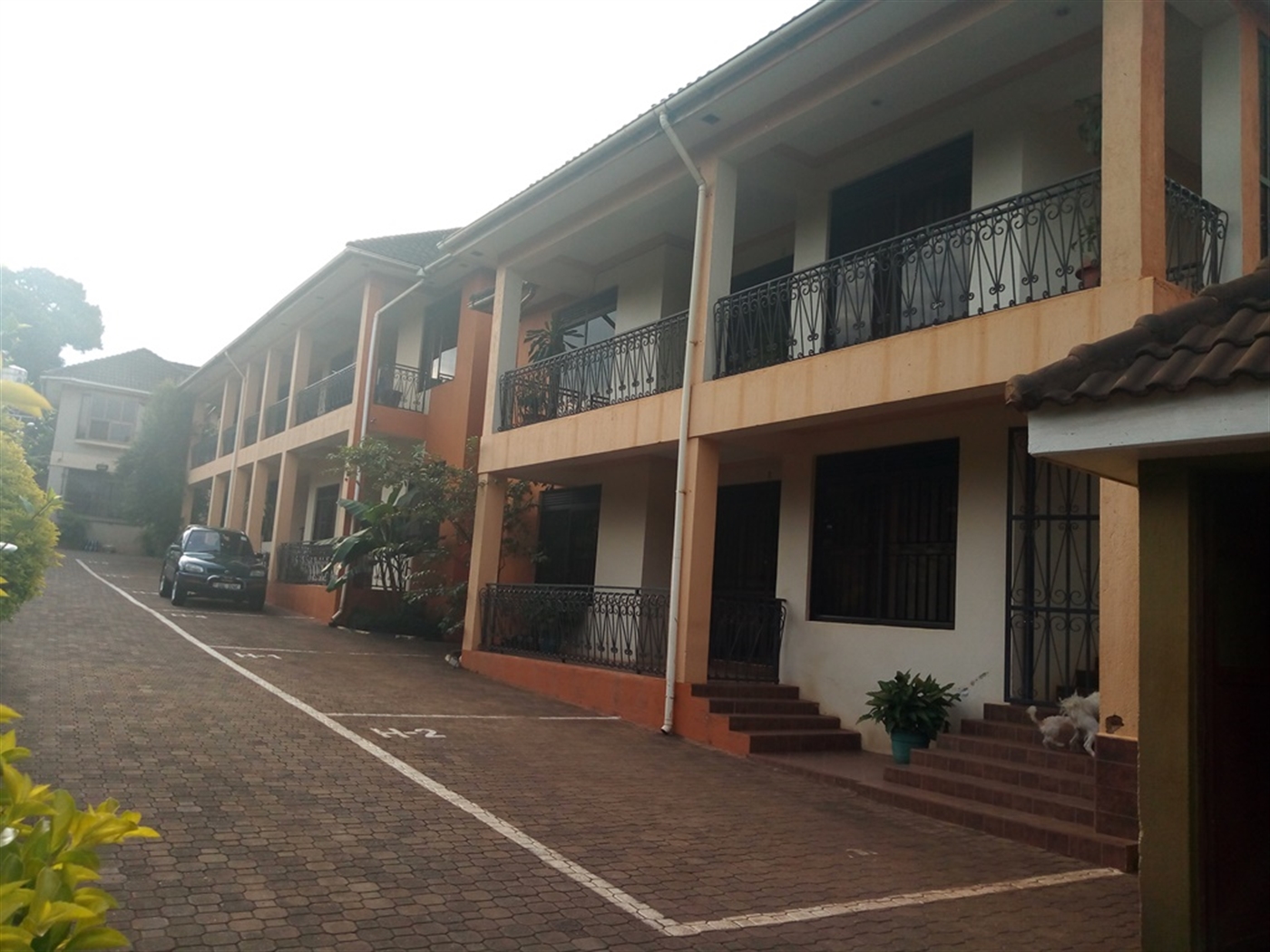 Apartment for rent in Muyenga Kampala