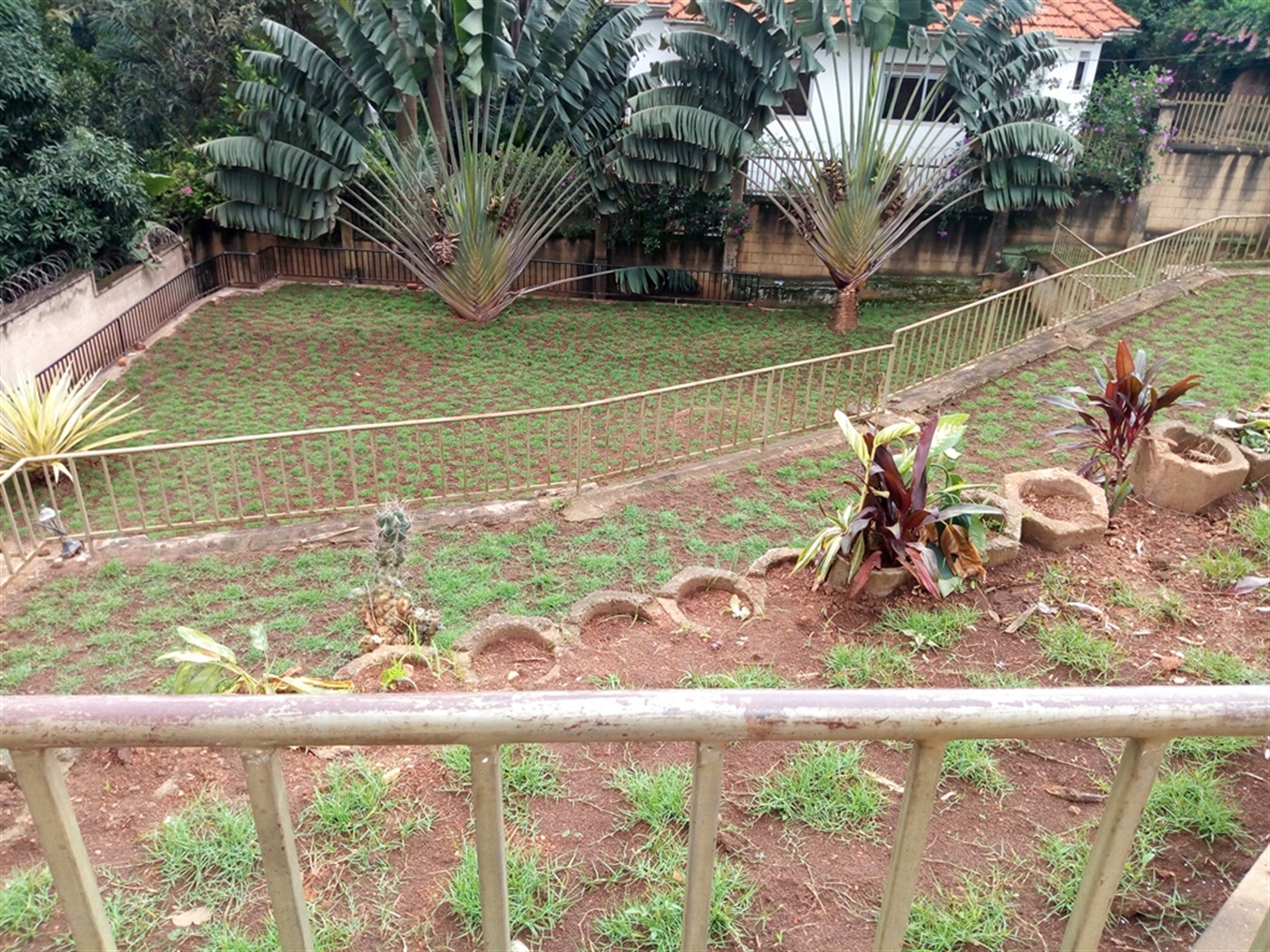 Bungalow for rent in Naguru Kampala