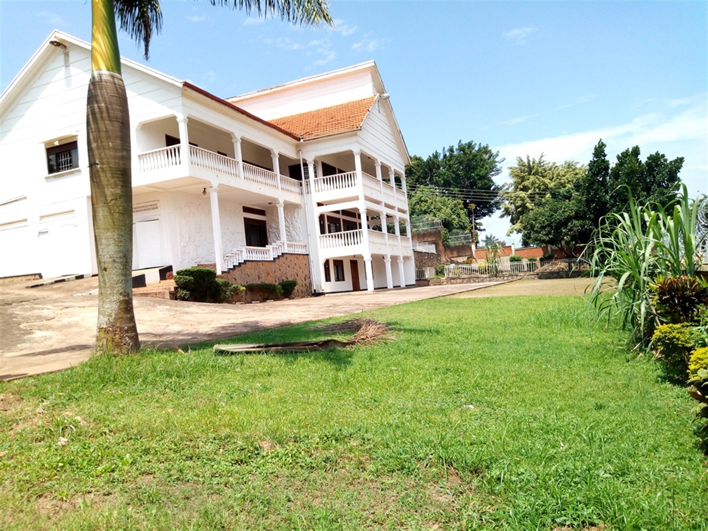 Mansion for rent in Muyenga Kampala