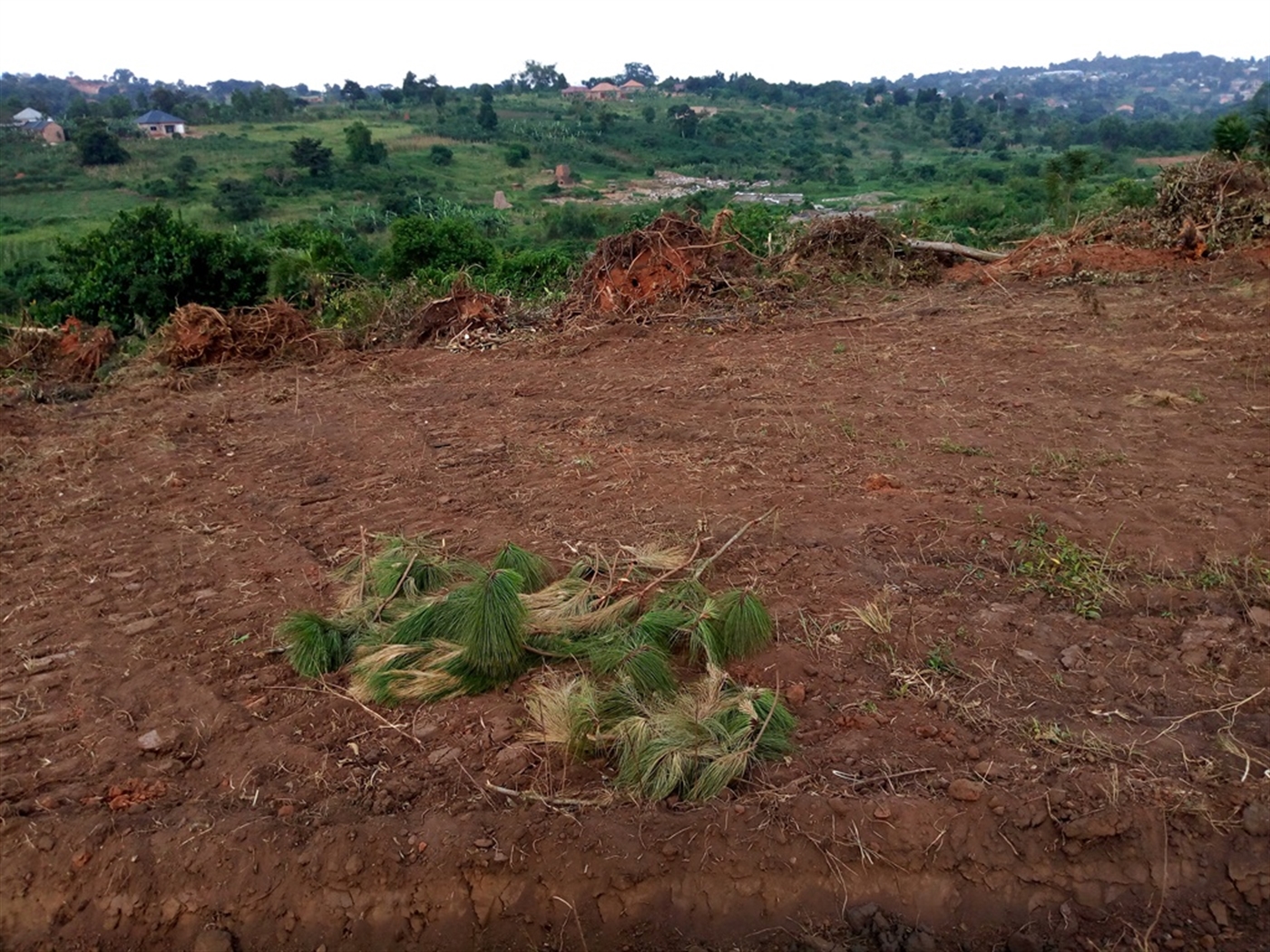 Residential Land for sale in Matugga Wakiso