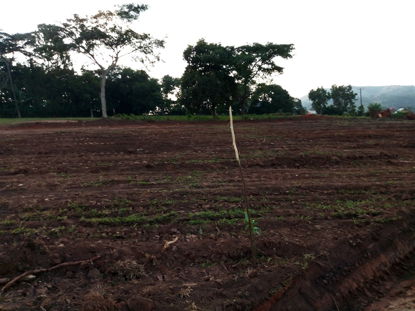 Residential Land for sale in Matugga Wakiso