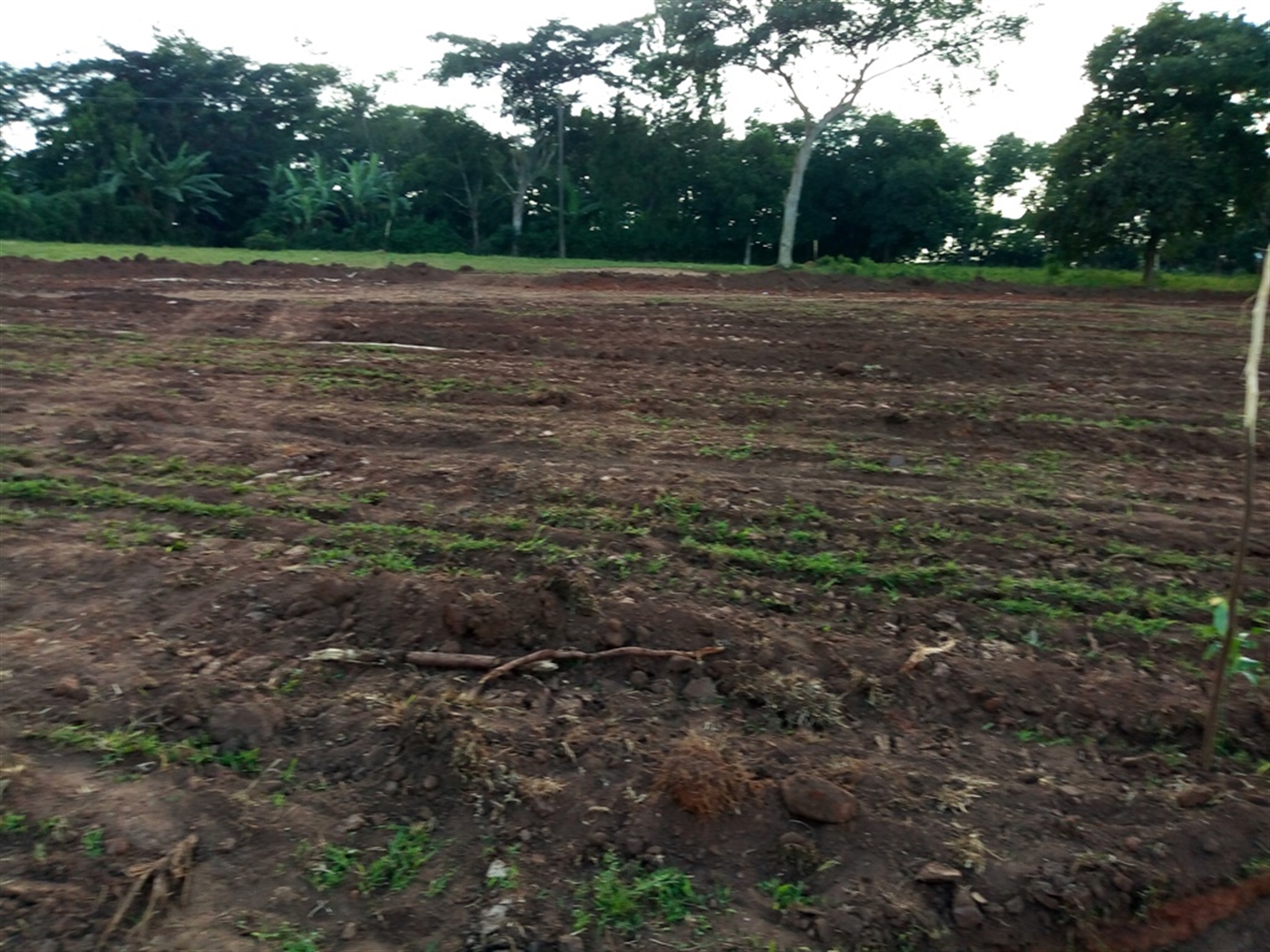 Residential Land for sale in Matugga Wakiso