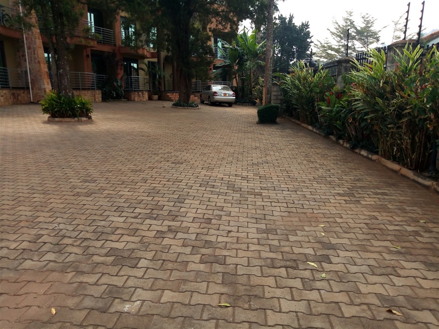 Apartment for rent in Muyenga Kampala