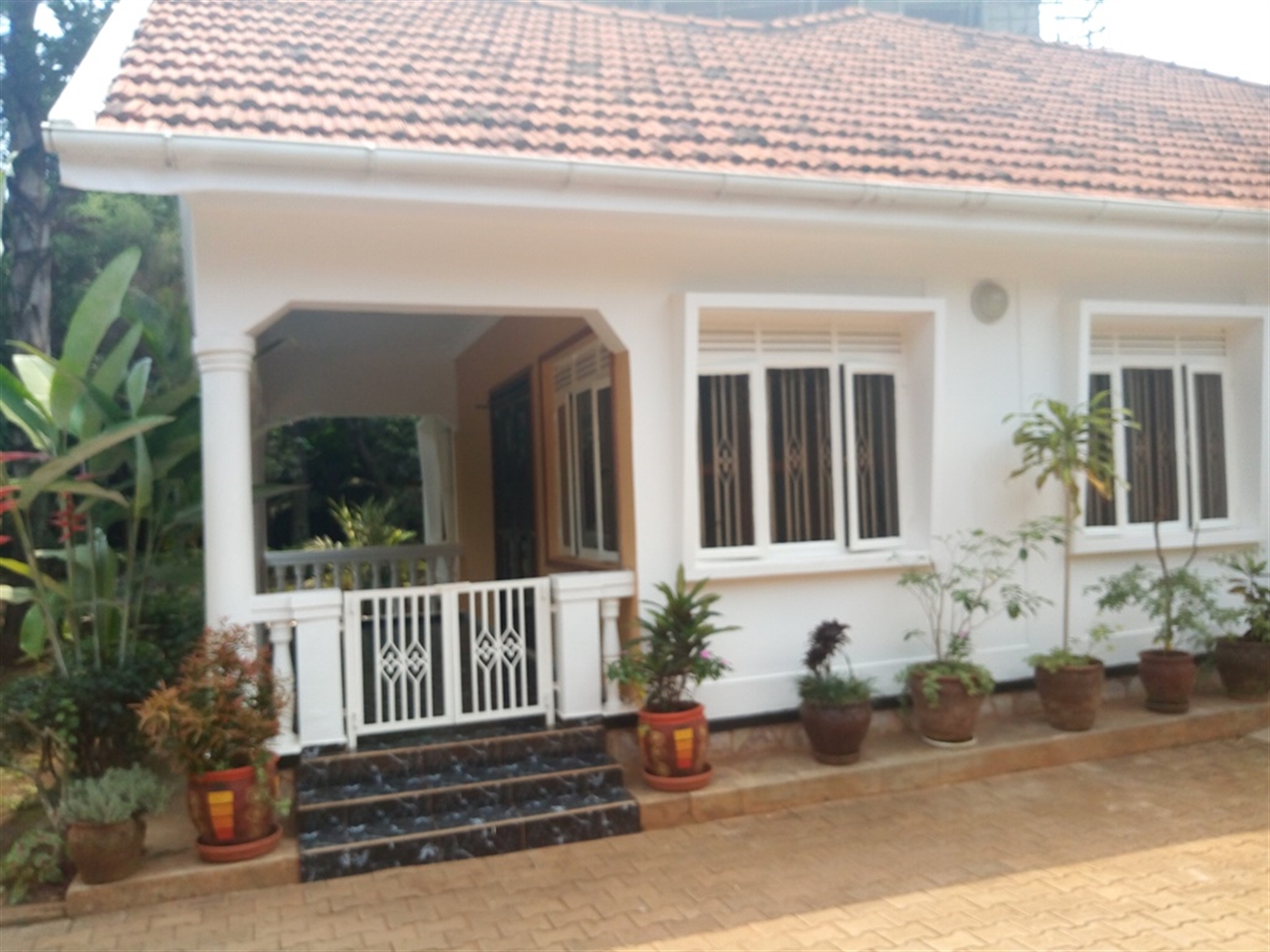 Bungalow for rent in Muyenga Kampala