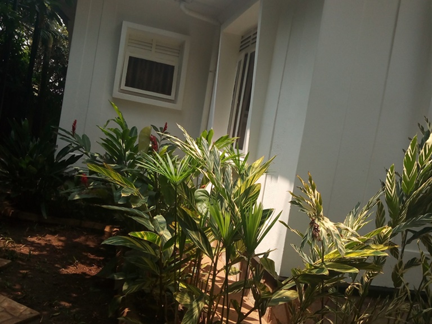 Bungalow for rent in Muyenga Kampala