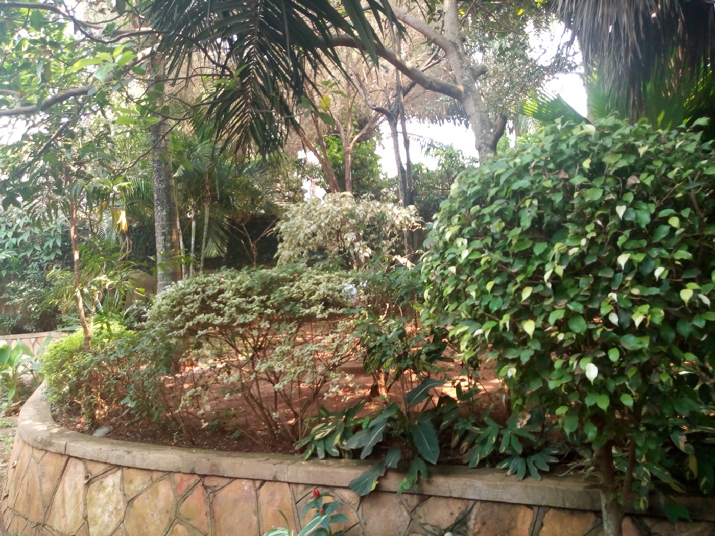 Bungalow for rent in Muyenga Kampala