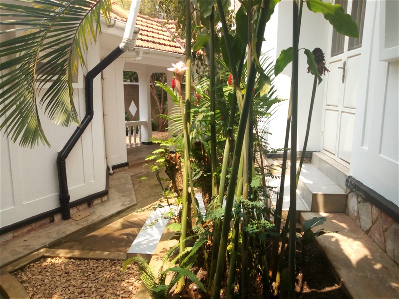 Bungalow for rent in Muyenga Kampala