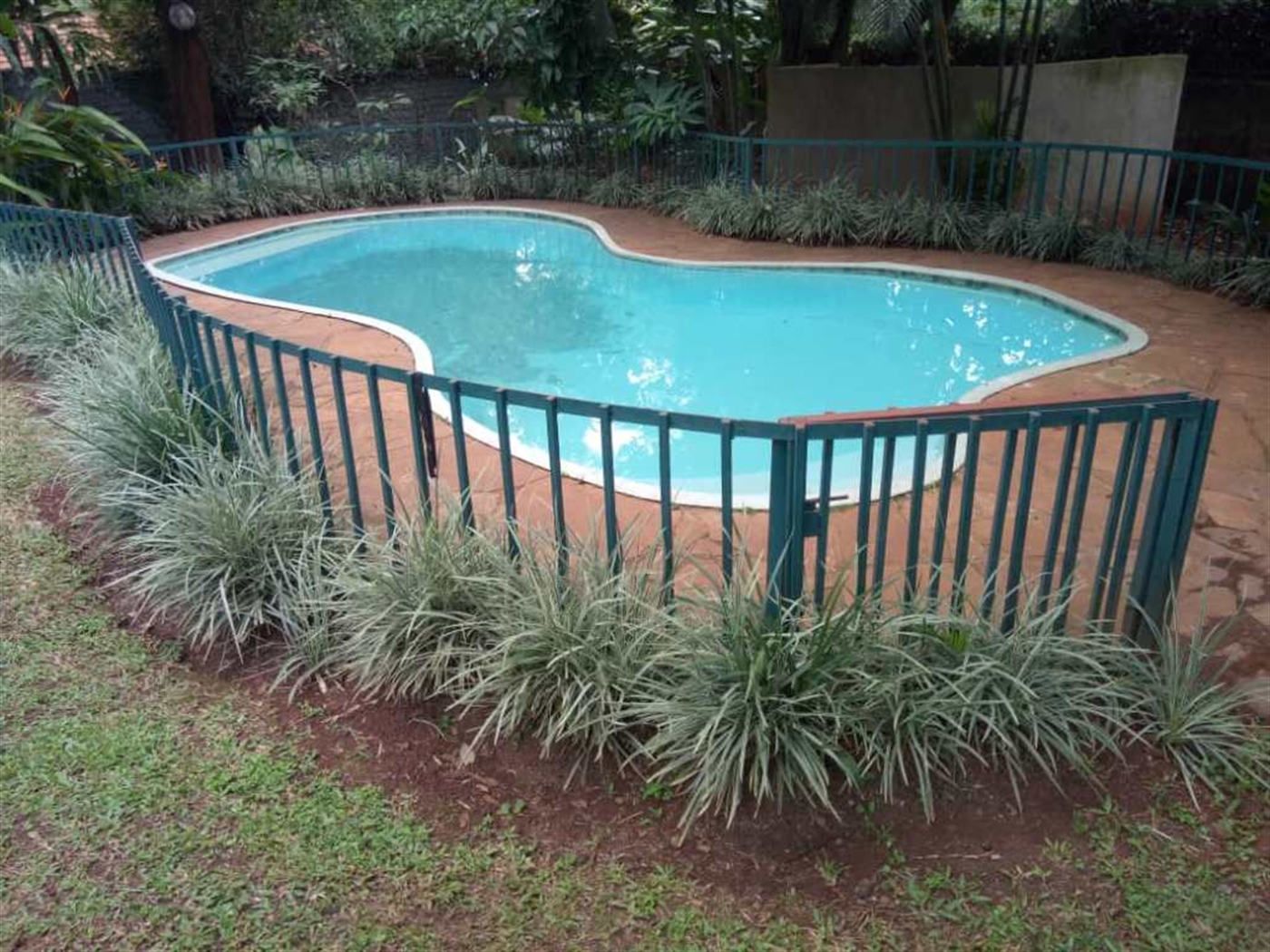 Bungalow for rent in Kololo Kampala