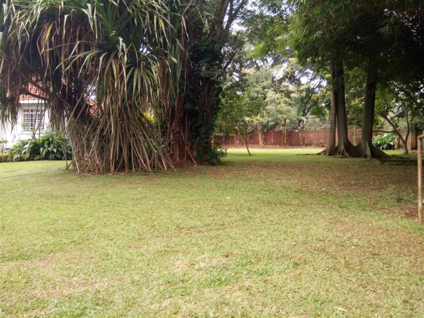 Bungalow for rent in Kololo Kampala