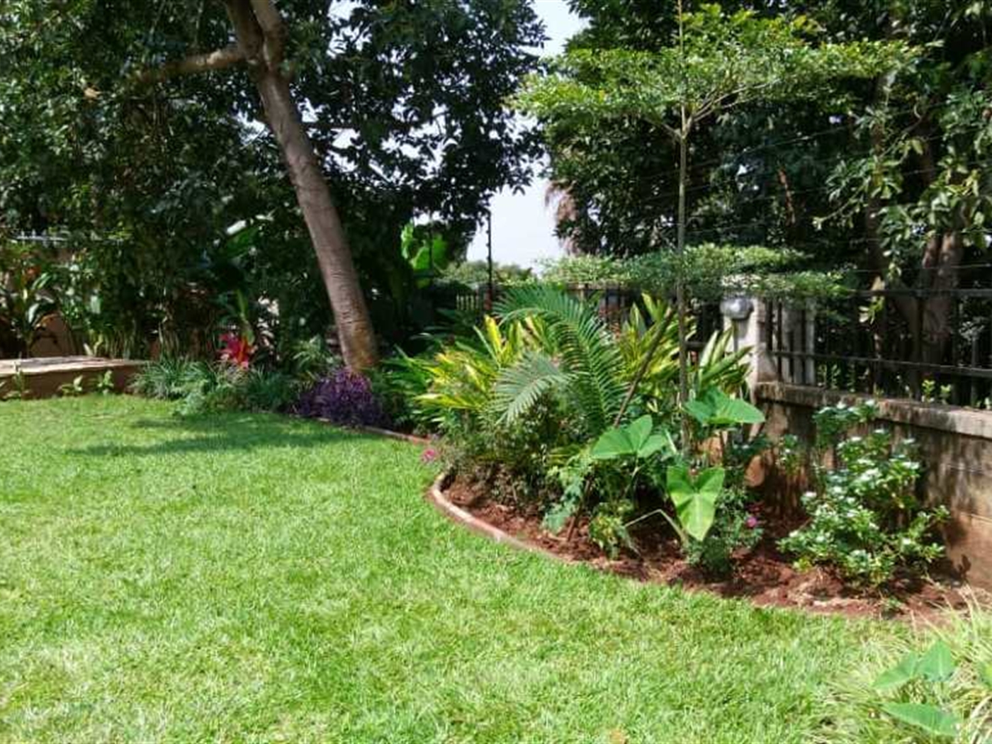 Mansion for rent in Naguru Kampala