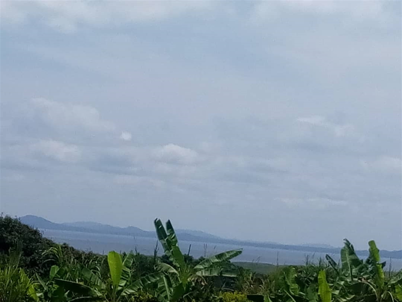 Residential Land for sale in Bweya Wakiso