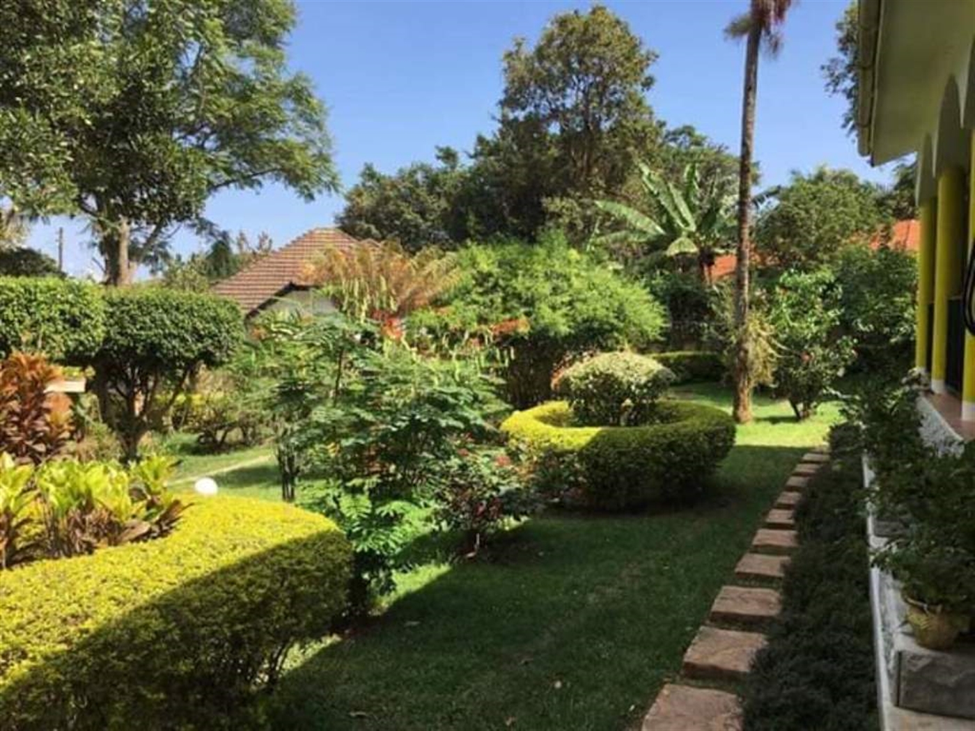 Bungalow for rent in Muyenga Kampala