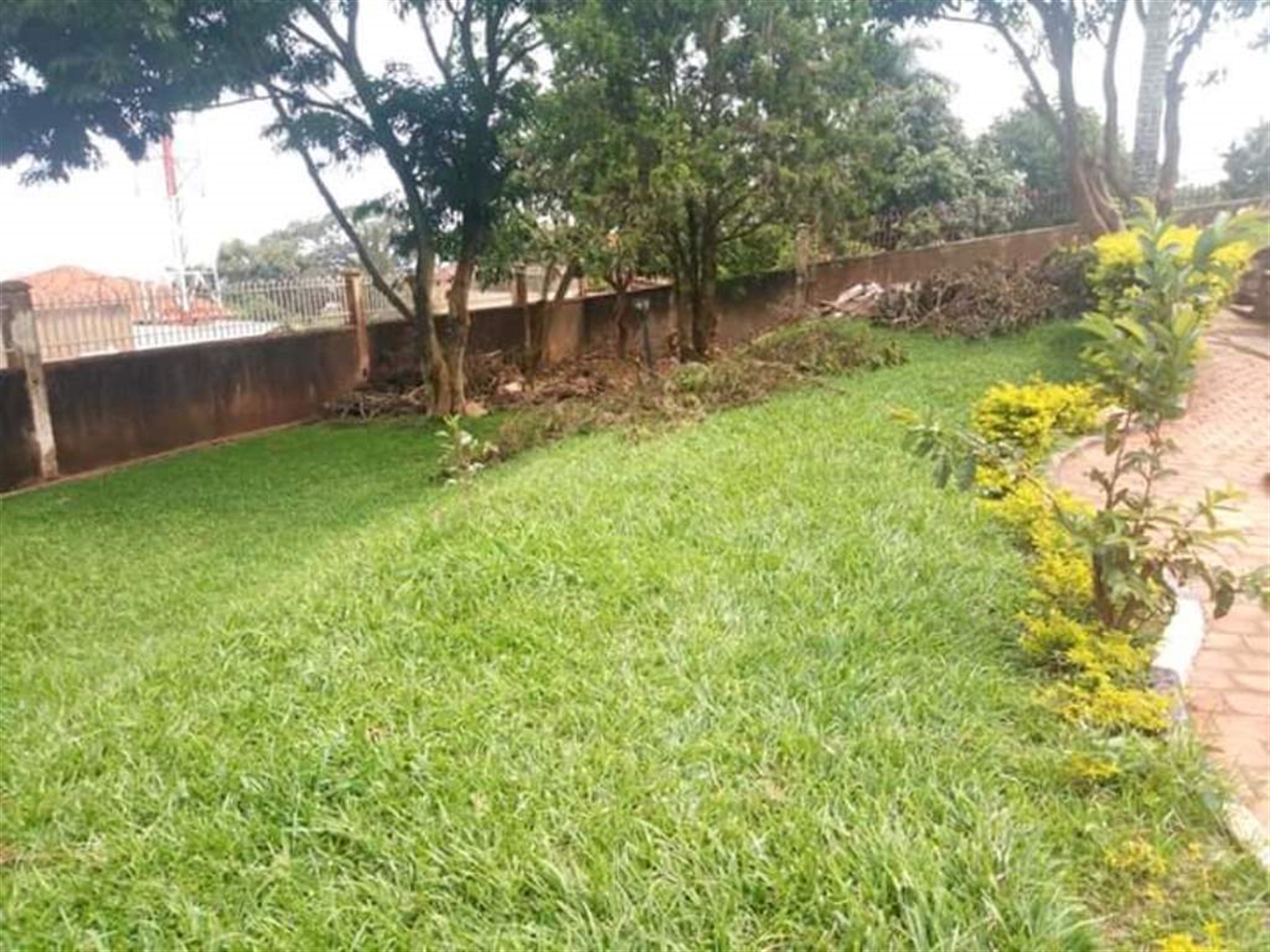 Mansion for rent in Mutungo Kampala