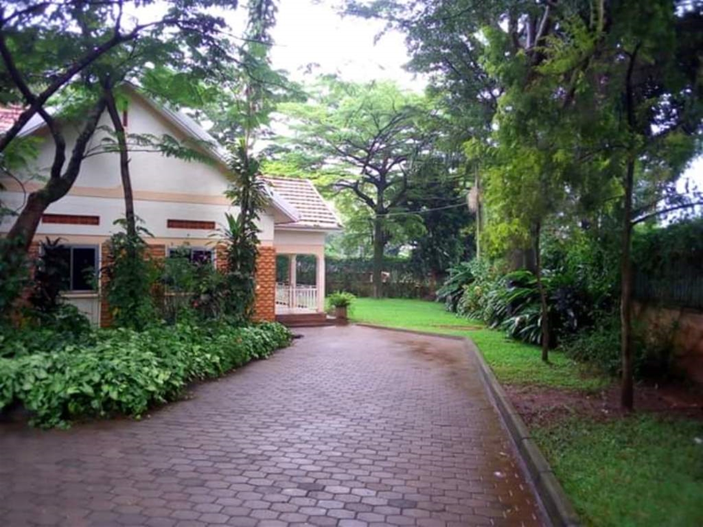 Bungalow for rent in Kololo Kampala