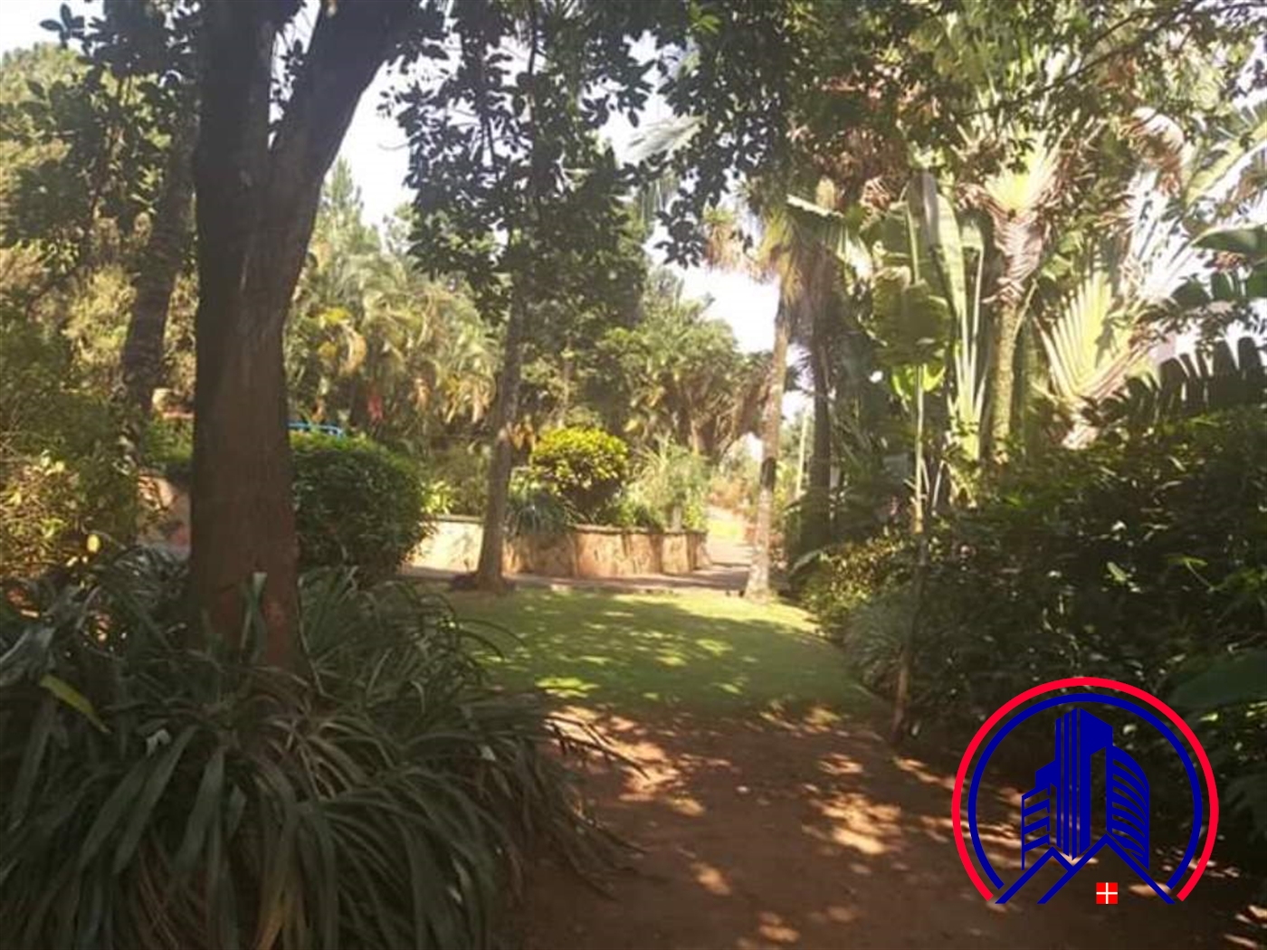 Bungalow for rent in Kololo Kampala