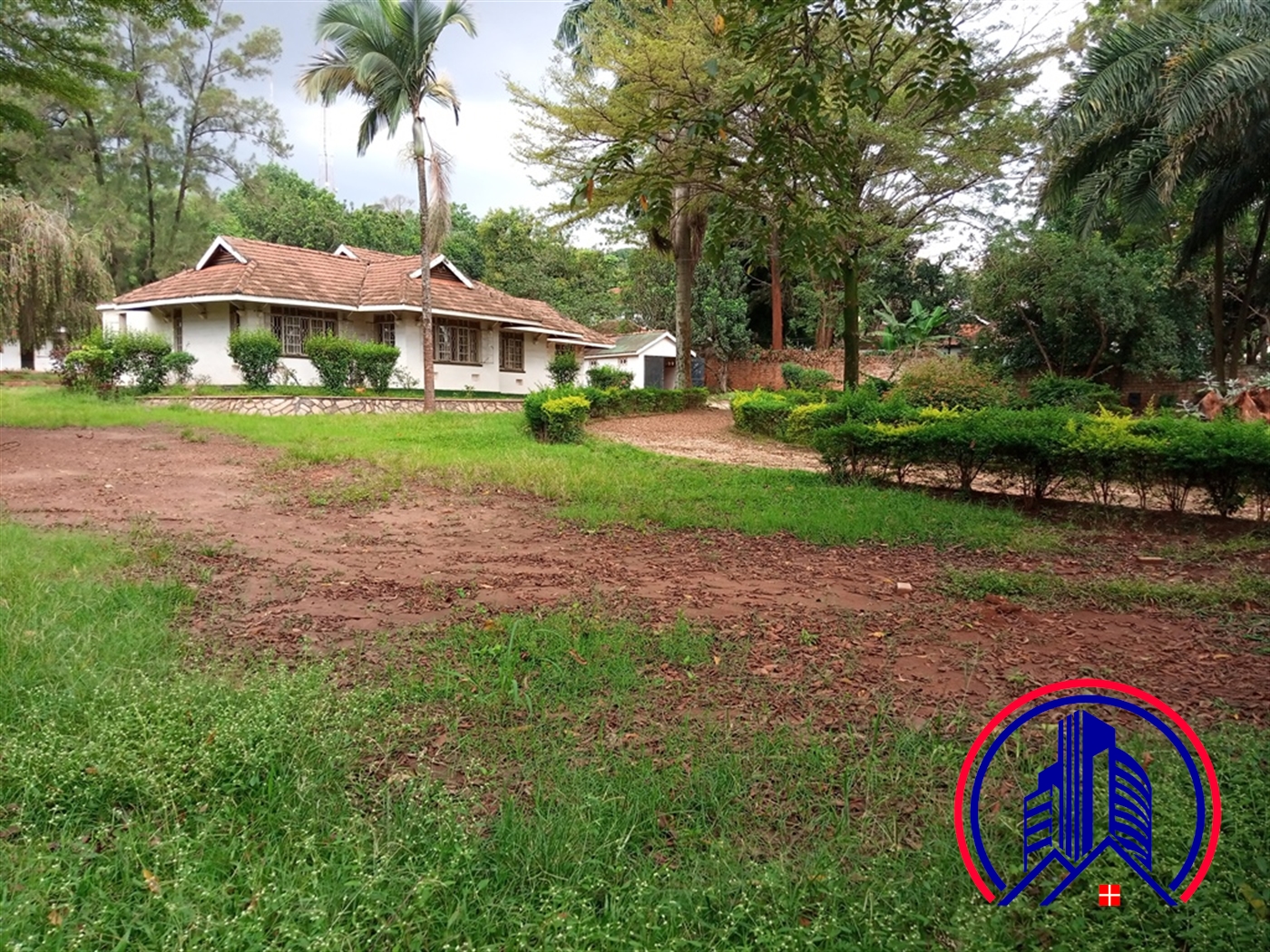 Bungalow for rent in Kololo Kampala