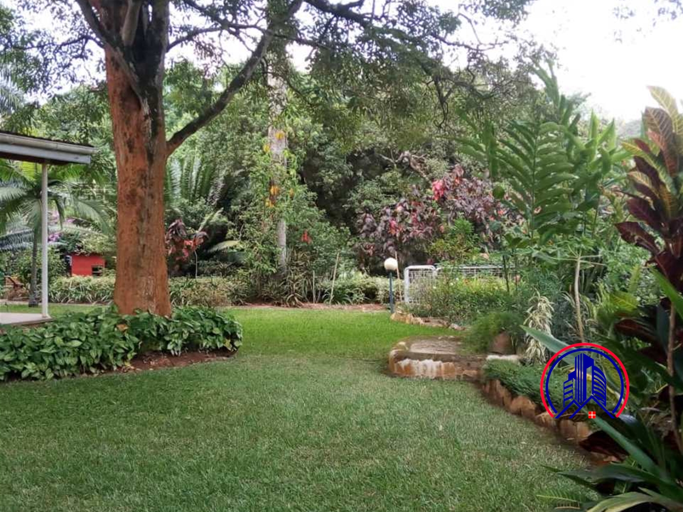 Mansion for rent in Kololo Kampala