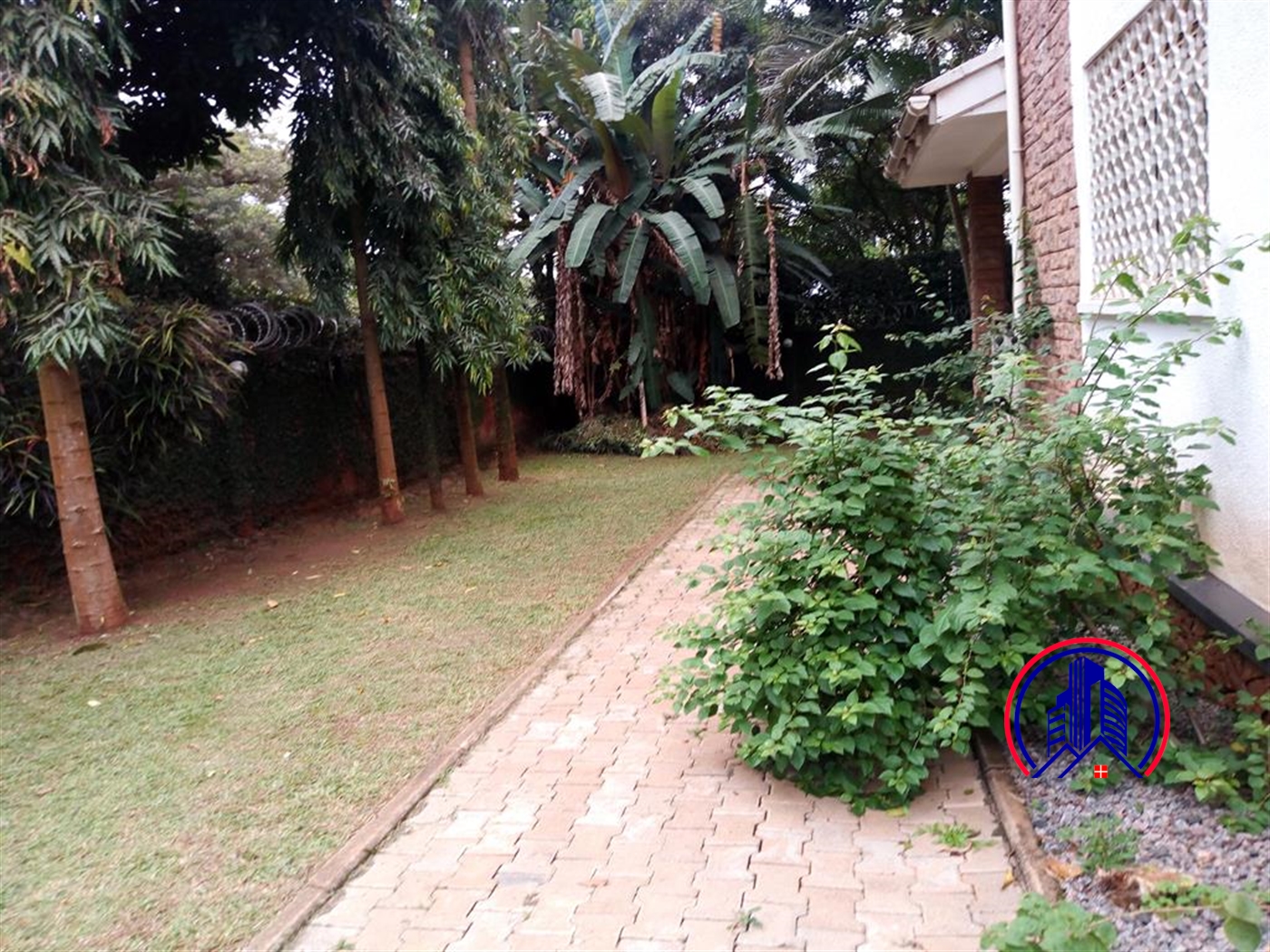 Bungalow for rent in Kololo Kampala