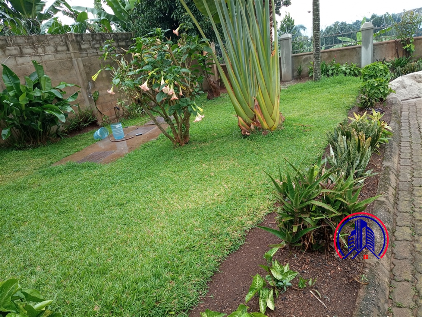 Bungalow for rent in Kansanga Kampala