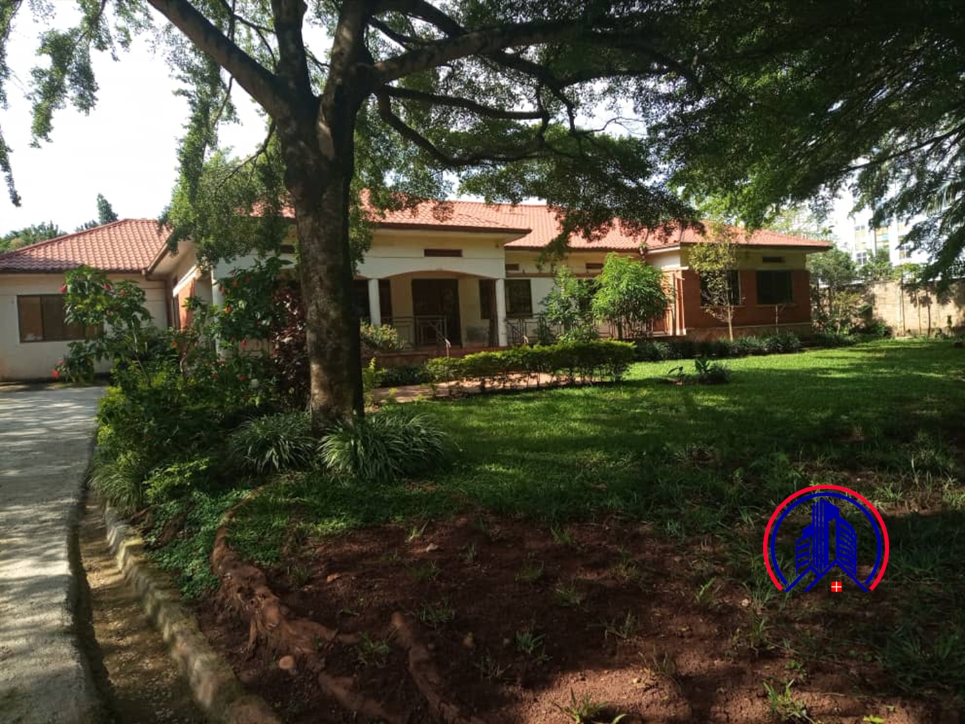 Bungalow for rent in Kololo Kampala