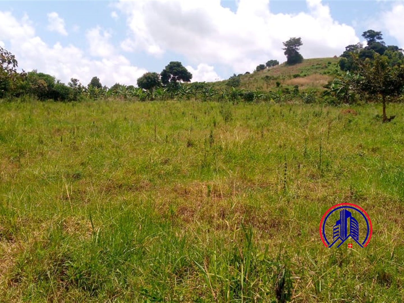 Commercial Land for sale in Kasanjje Wakiso