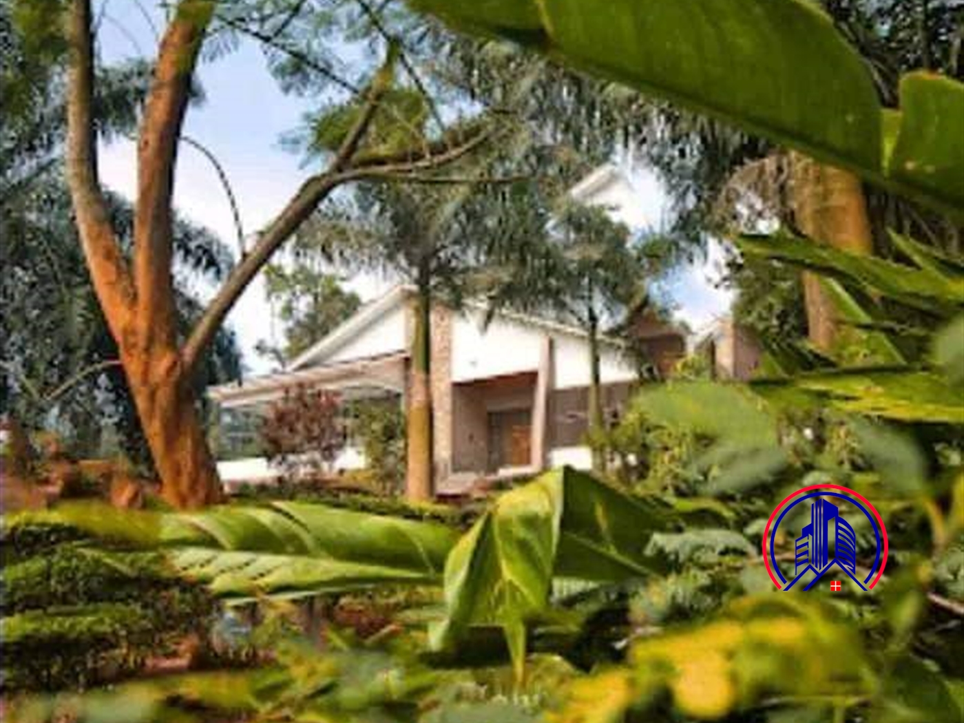 Bungalow for rent in Mbuya Kampala