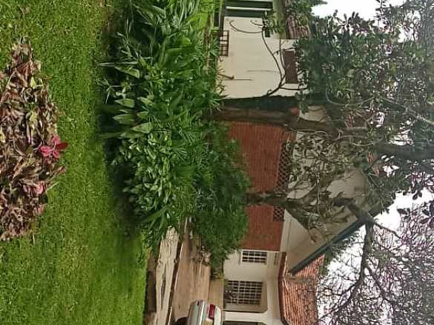 Bungalow for sale in Bugoloobi Kampala