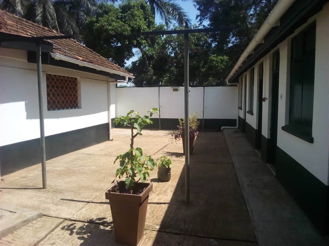 Bungalow for rent in Kololo Kampala