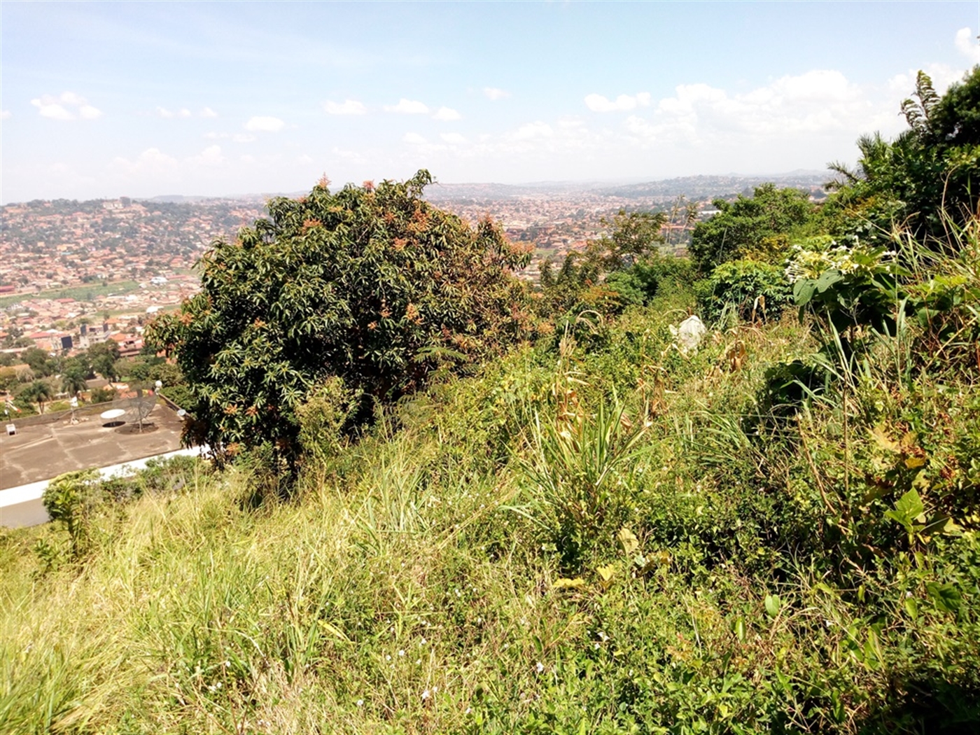 Residential Land for sale in Buziga Kampala