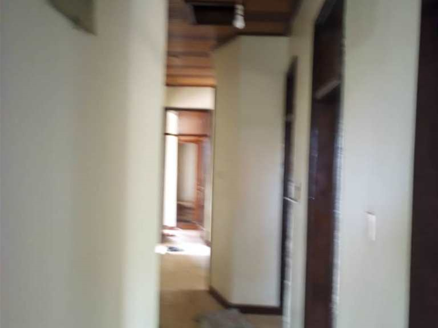 Bungalow for rent in Bukoto Kampala