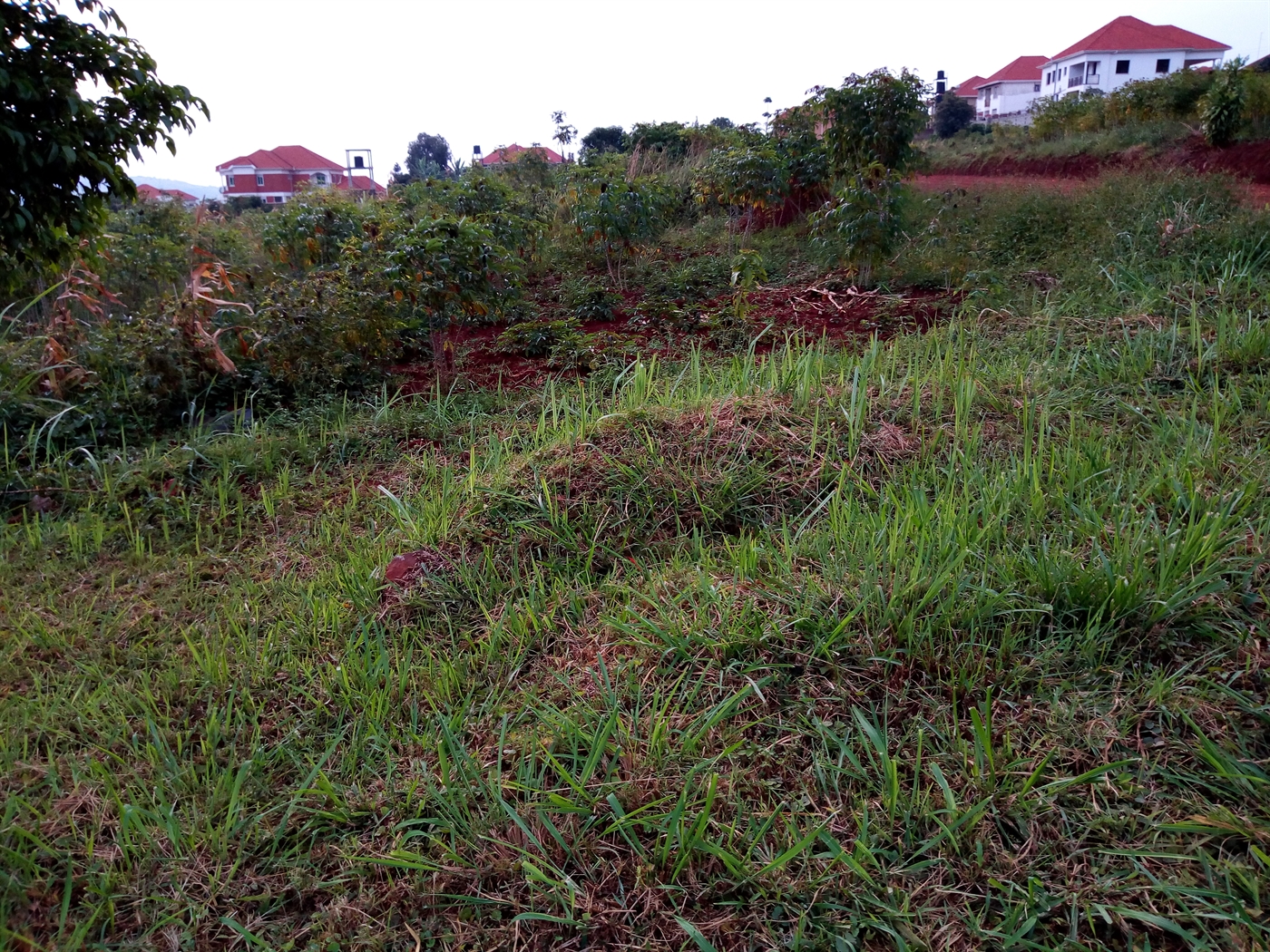 Multipurpose Land for sale in Kyanja Kampala