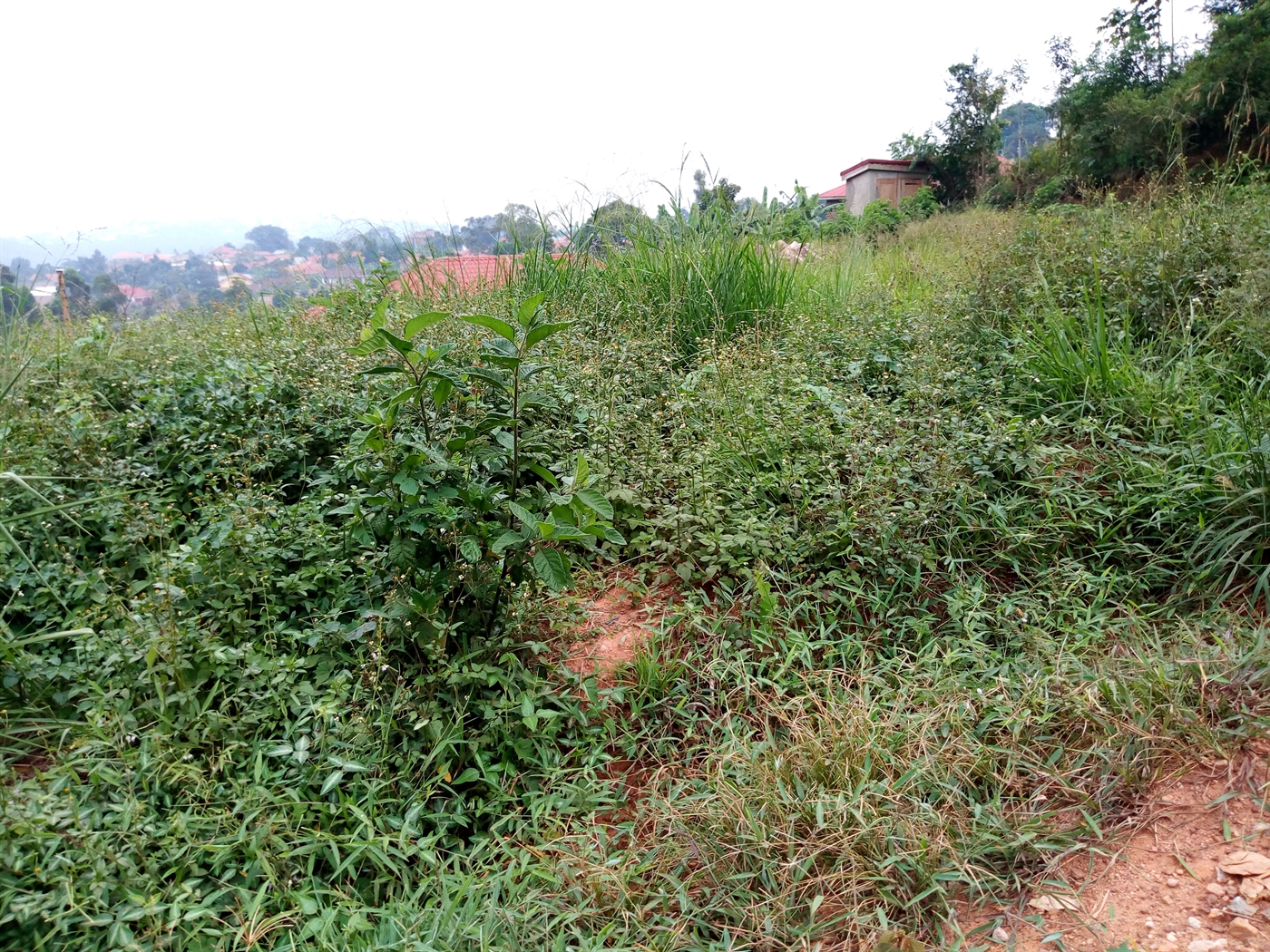 Multipurpose Land for sale in Kyanja Kampala