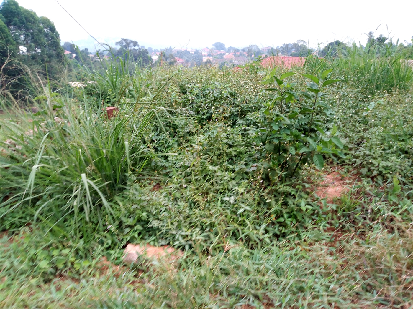 Multipurpose Land for sale in Kyanja Kampala