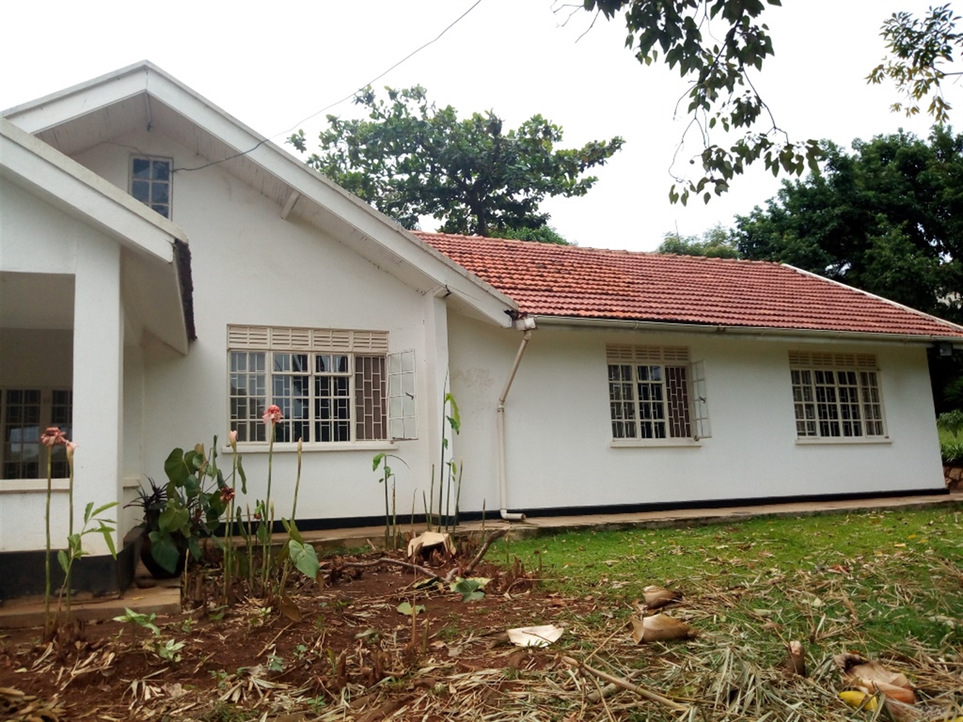 Bungalow for rent in Kololo Kampala