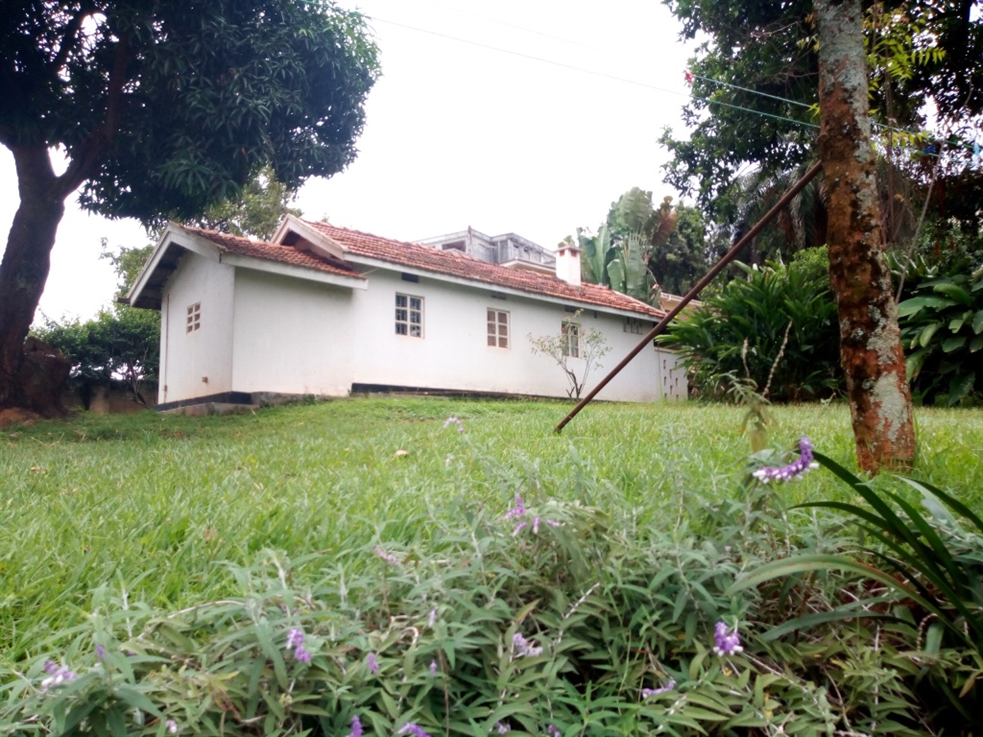 Bungalow for rent in Kololo Kampala