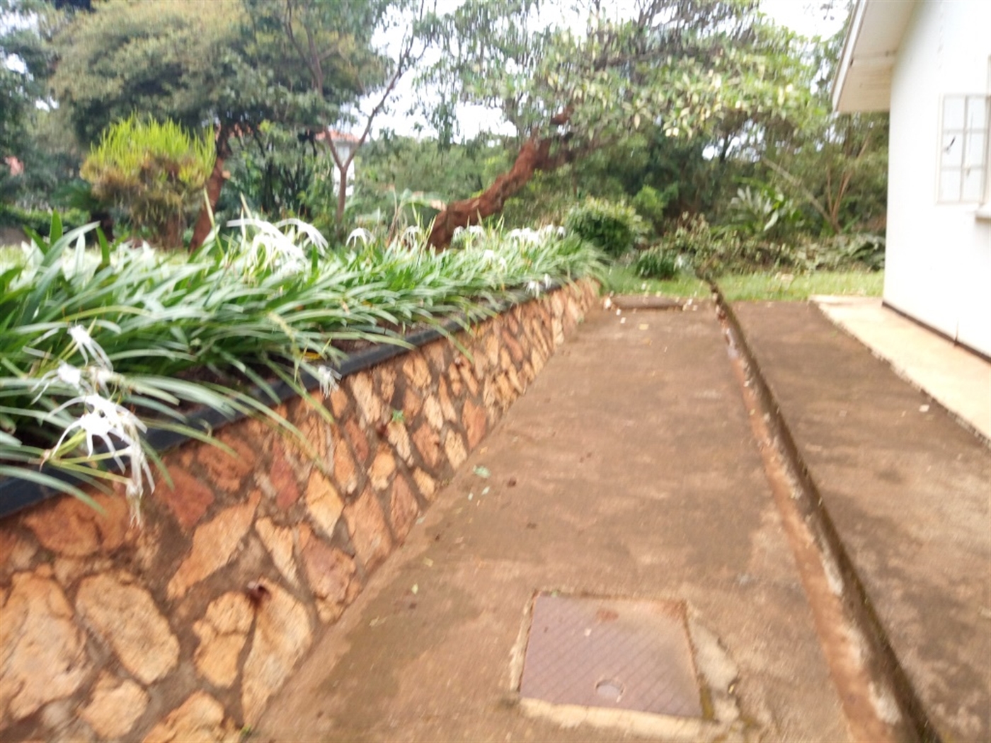 Bungalow for rent in Kololo Kampala