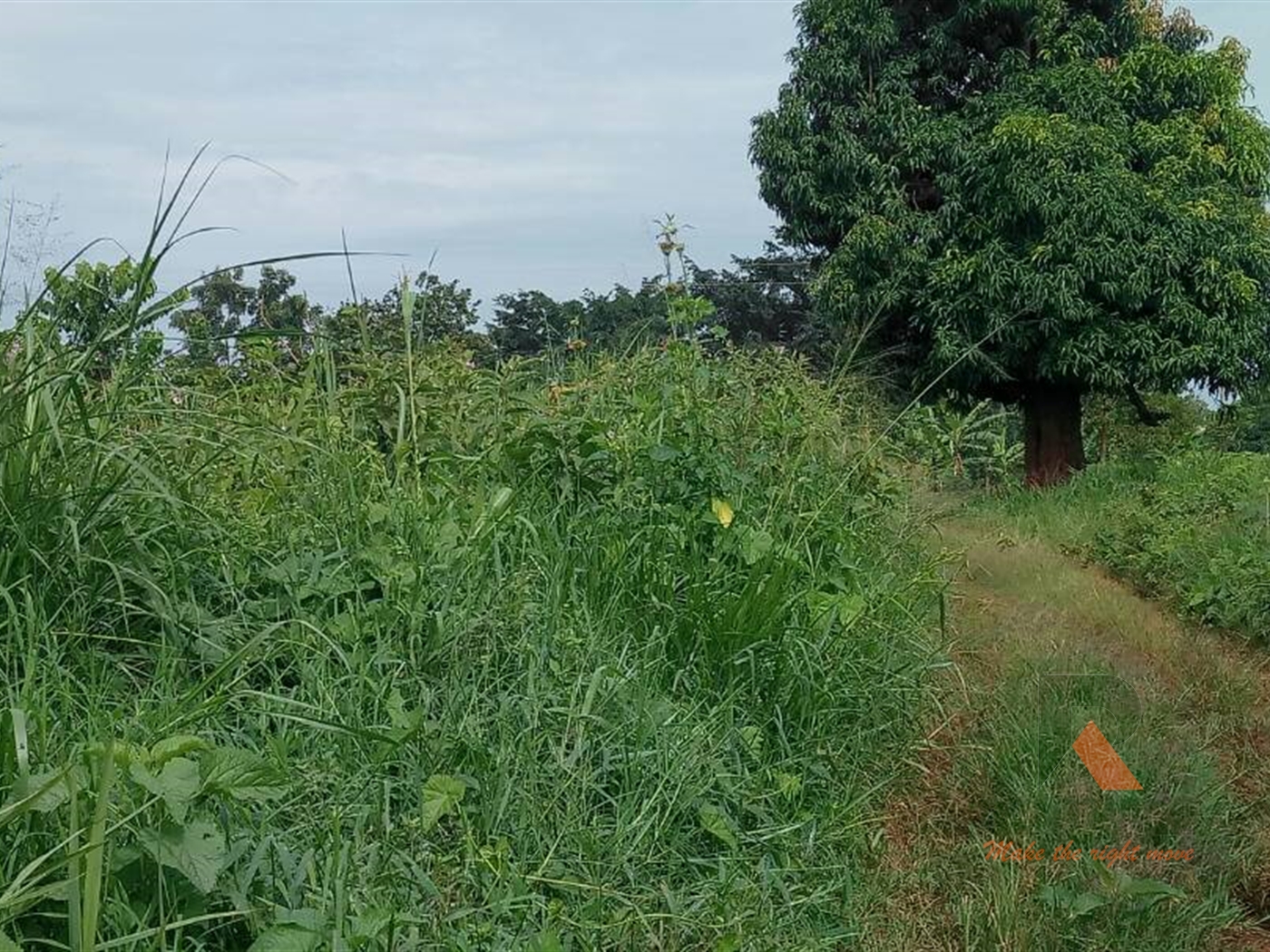 Residential Land for sale in Kyanja Kampala