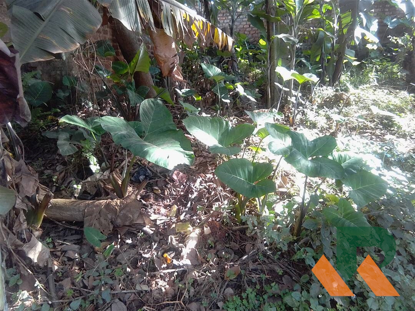 Commercial Land for sale in Seguku Wakiso