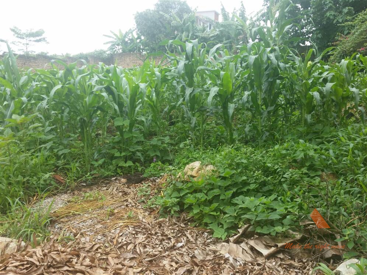 Residential Land for sale in Ntinda Kampala