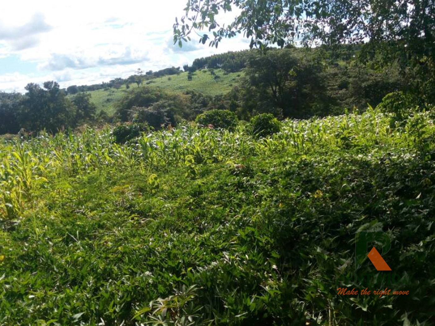 Agricultural Land for sale in Mubende Mubende