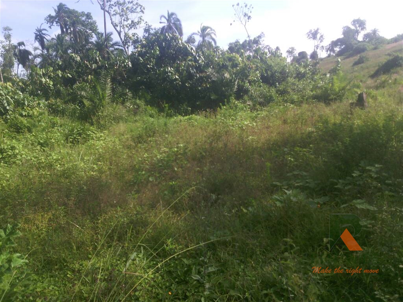 Agricultural Land for sale in Madudu Mubende