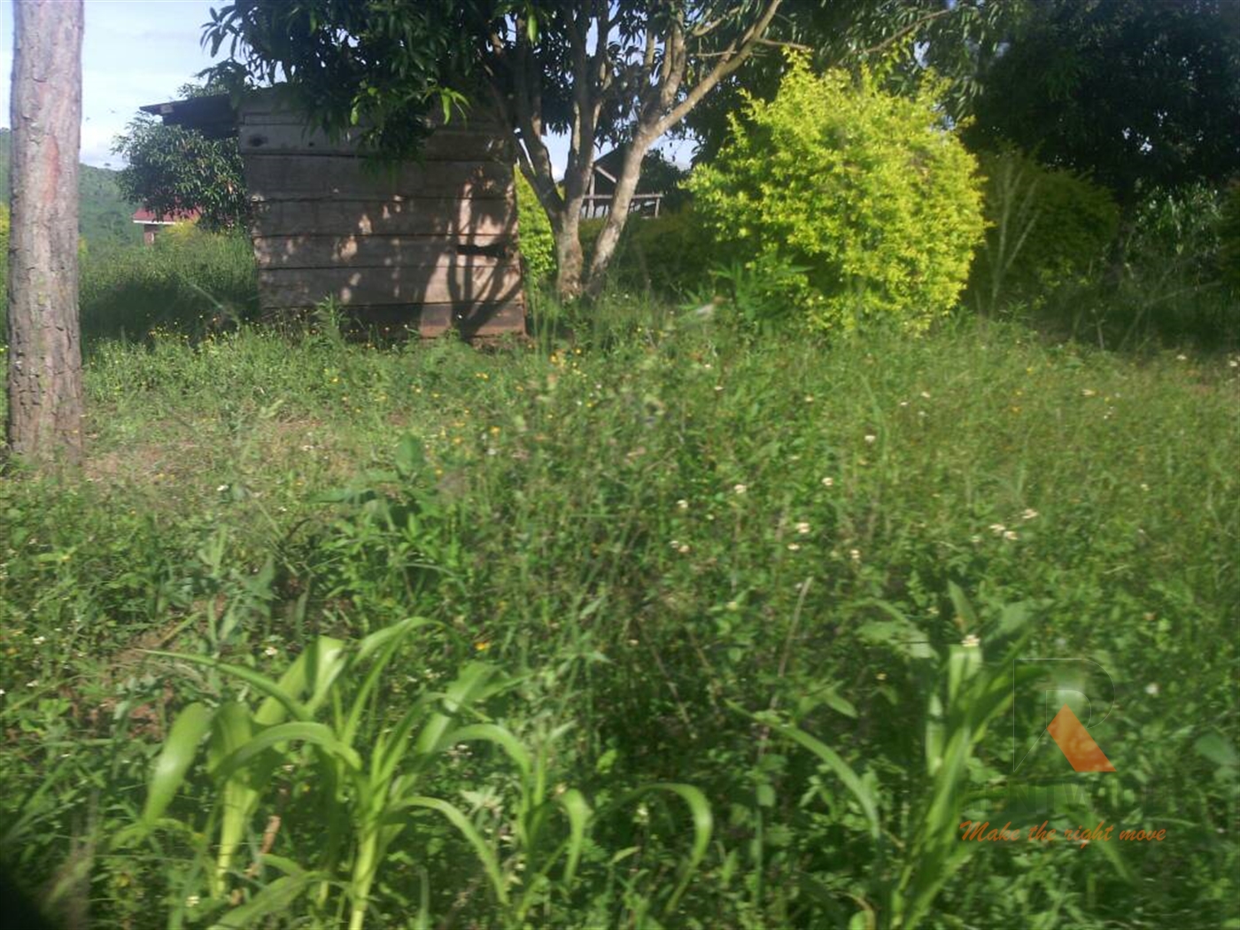 Agricultural Land for sale in Madudu Mubende