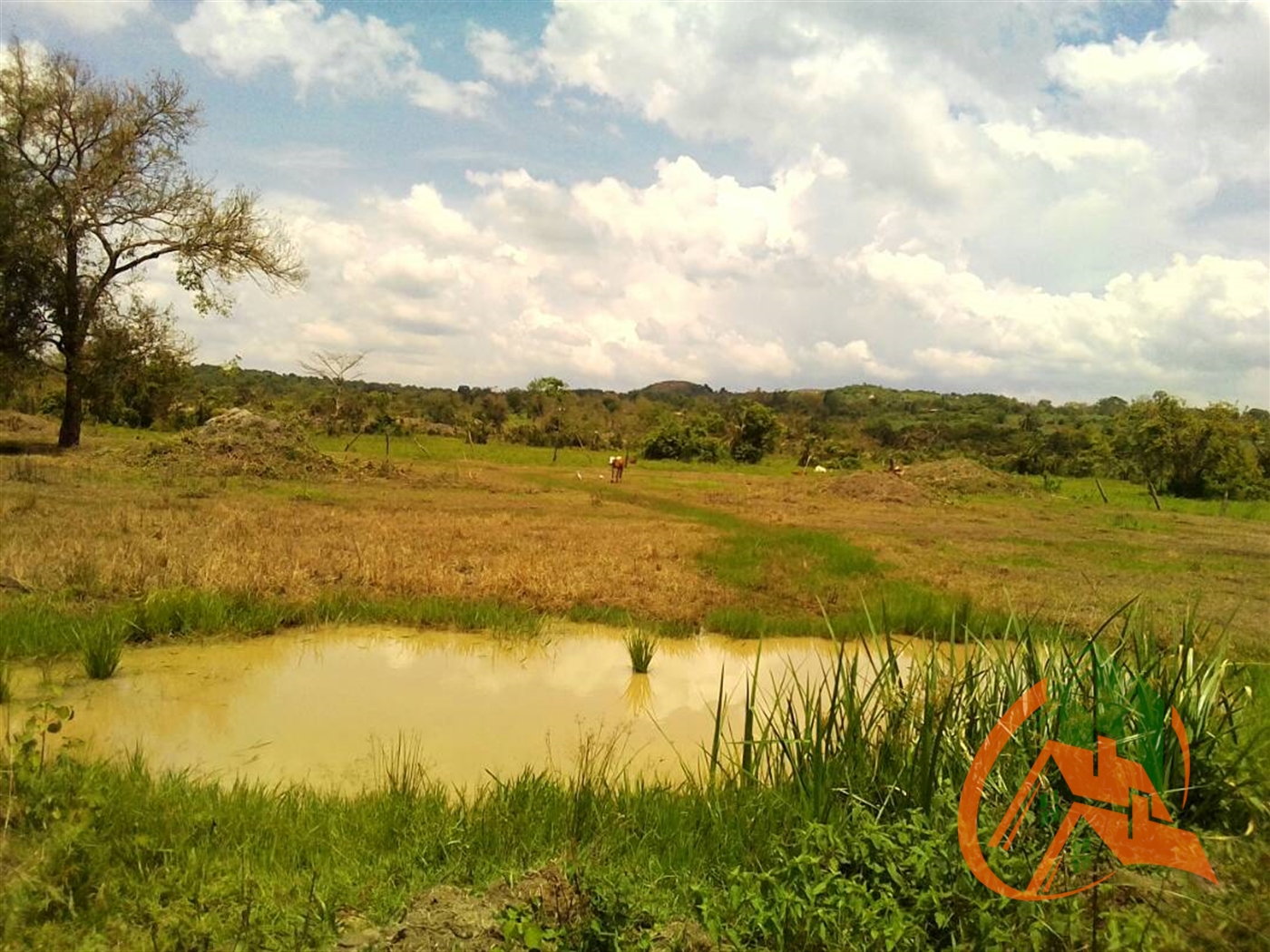 Agricultural Land for sale in Nakifuma Mukono