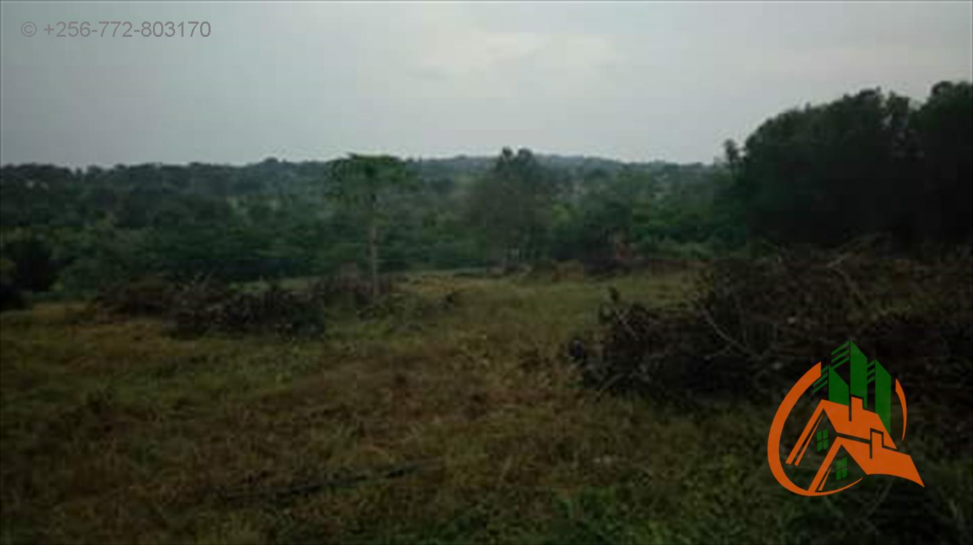 Residential Land for sale in Gayaza Wakiso