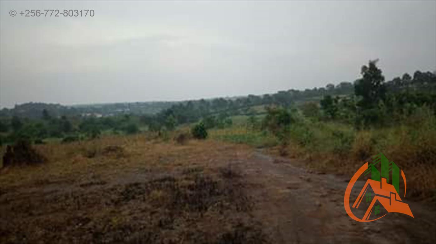 Residential Land for sale in Gayaza Wakiso