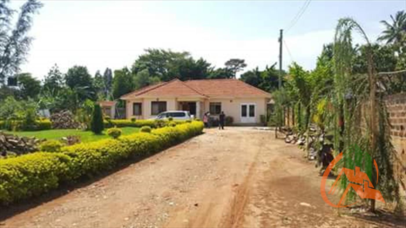 Bungalow for rent in Bugoloobi Kampala