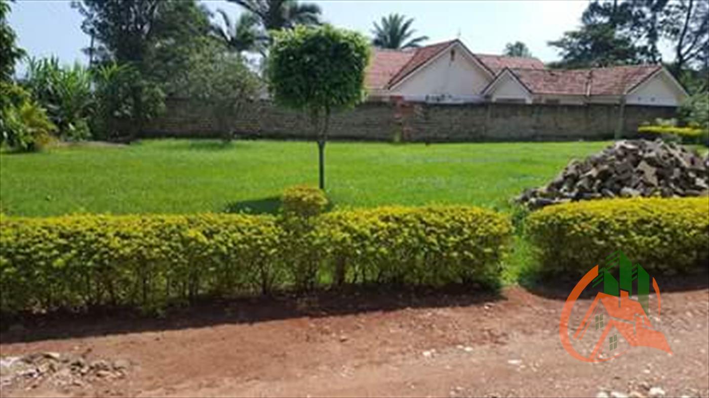 Bungalow for rent in Bugoloobi Kampala