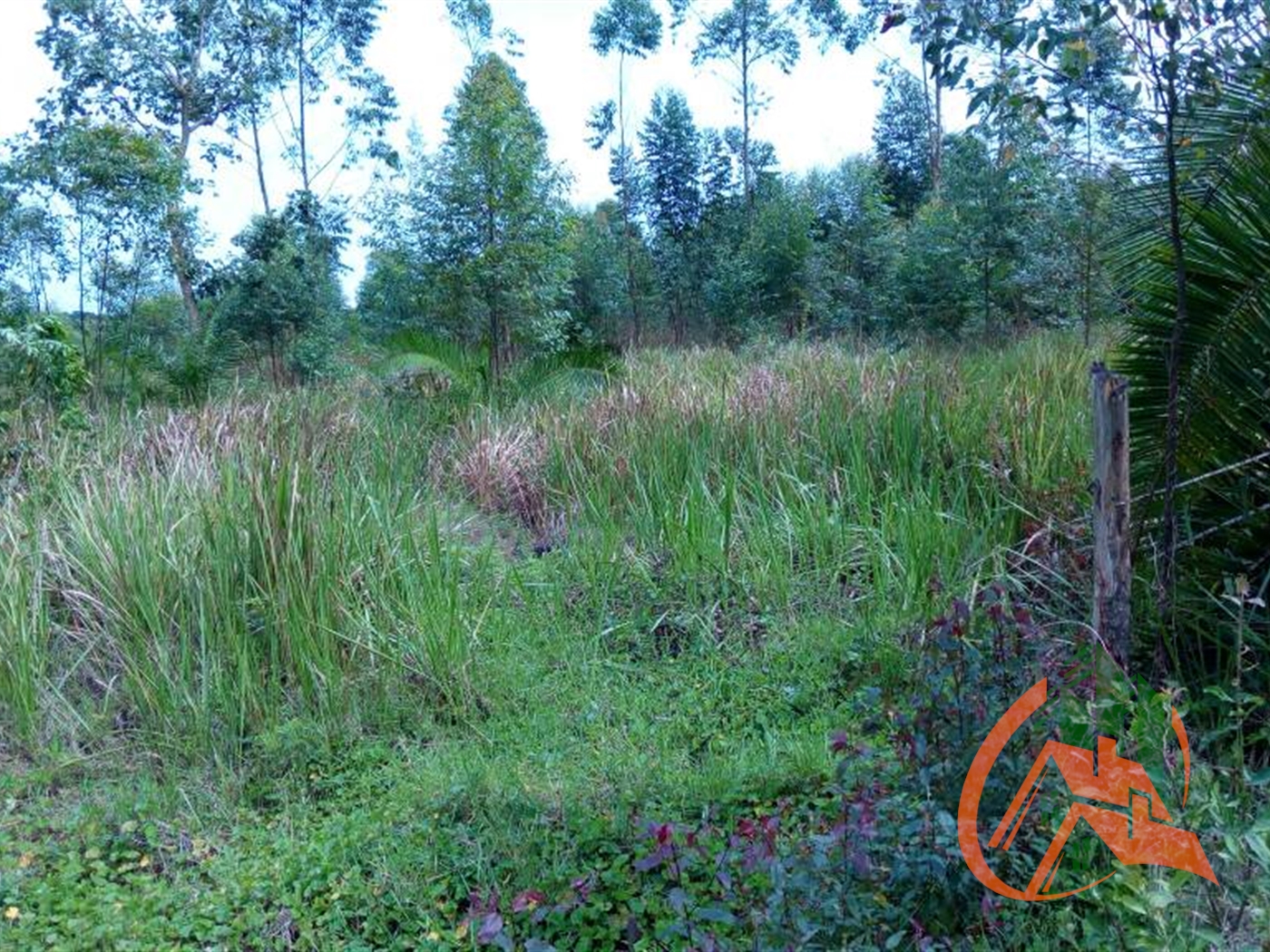 Agricultural Land for sale in Kassanda Mubende